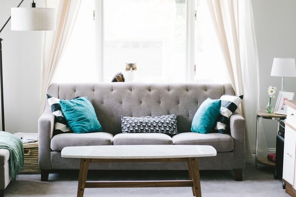 Salon scandinave : comment rechauffer et rendre cosy son espace ?